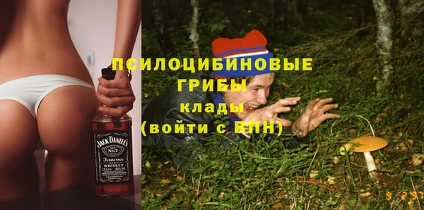 молекула духа Наволоки
