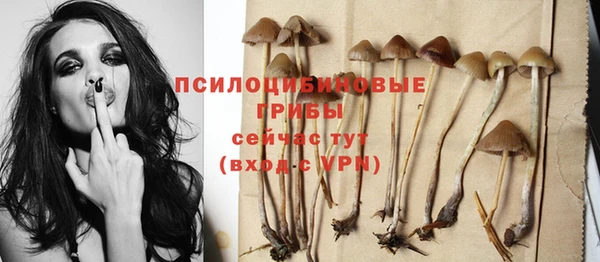 Альфа ПВП Надым