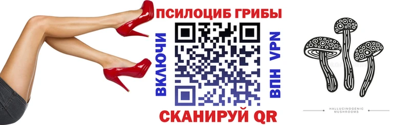 Купить где  Удачный  Галлюциногенные грибы мицелий 