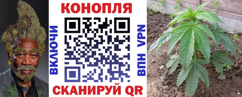Купить  Удачный  Бошки Шишки Amnesia 